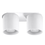Aluminium Ceiling Light With 2 Orbis Lamps - Deep Space