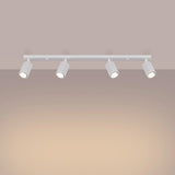 Aluminium Ceiling Light With 4 Karbon Lamps - Deep Space