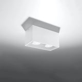 Aluminium Ceiling Light Rectangular With Quad Lamp - Deep Space