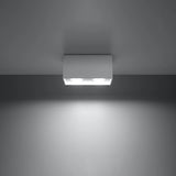 Aluminium Ceiling Light Rectangular With Quad Lamp - Deep Space