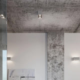 Aluminium Ceiling Light Rectangular With Quad Lamp - Deep Space