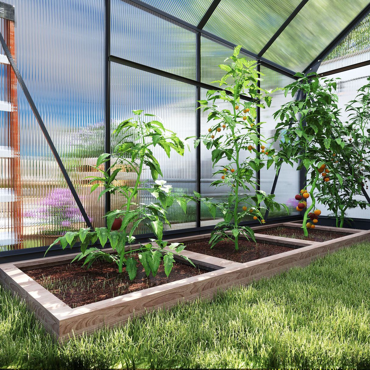 Aluminium Frame Garden Greenhouse 6ft x 8ft With Slide Door - Velmora
