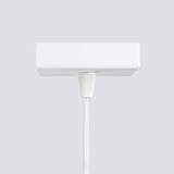 Aluminium Pendant Light With Karbon 1 Lamp - Deep Space