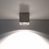 Ceramic Ceiling Light With Seida Lamp - Cafe Au Lait