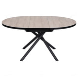 Ceramic Dining Table for 4 to 6 People Extending - Danello