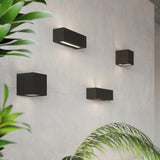 Ceramic Wall Light With Leo Lamp - Cafe Au Lait