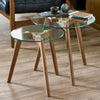Clear Glass Nest Of 2 Tables Round - Bryant