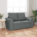 Fabric Sofa Bed 2 Seater - Vantage Home
