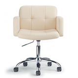Faux Leather Home And Office Chair - Colver