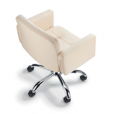 Faux Leather Home And Office Chair - Colver