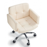 Faux Leather Home And Office Chair - Colver