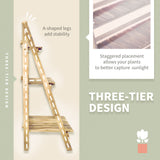 Fir Wood 3 Tier Folding Plant Stand 100cm Wide - Velmora