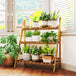 Fir Wood 3 Tier Folding Plant Stand 80cm Wide - Velmora