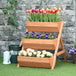 Fir Wood 3 Tier Plant Stand 65cm Wide - Velmora