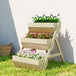 Fir Wood 3 Tier Plant Stand 65cm Wide - Velmora