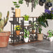 Fir Wood 4 Tier Plant Stand 80cm Wide With Metal Frame - Velmora