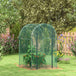 Galvanised Steel Frame Garden Fruit Greenhouse 120cm Length With Zipped Door - Velmora