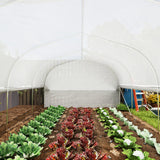 Galvanised Steel Frame Garden Greenhouse 595cm Length With 8 Mesh Windows - Velmora
