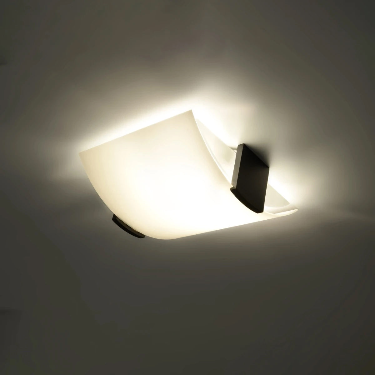 Glass Ceiling Light With Emilio Lamp With Wenge Wooden Support - Tangerine