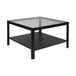 Glass Top Coffee Table With Wooden Frame - Ray