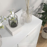 High Gloss Shoe Storage Cabinet 76cm Wide With 2 Doors - Velmora