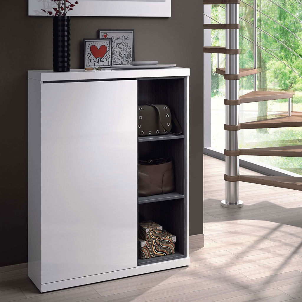 High Gloss Shoe Storage Cabinet With 1 Door - Findlay
