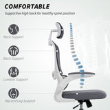 Mesh Fabric Home And Office Chair 60cm Wide With Lumbar Support - Velmora