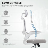 Mesh Fabric Home And Office Chair 60cm Wide With Lumbar Support - Velmora