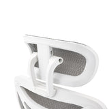 Mesh Fabric Home And Office Chair - Elite