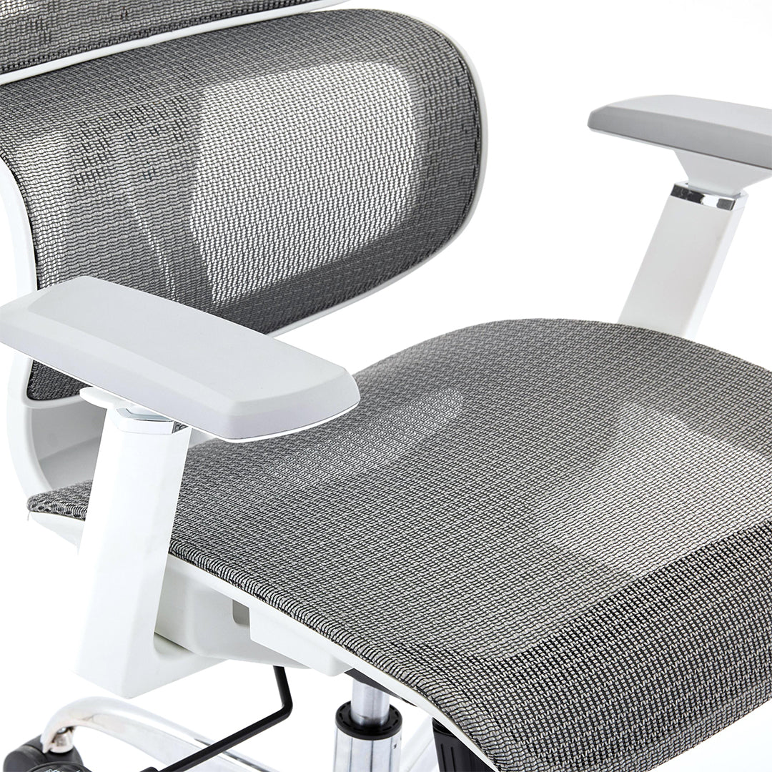 Mesh Fabric Home And Office Chair - Elite