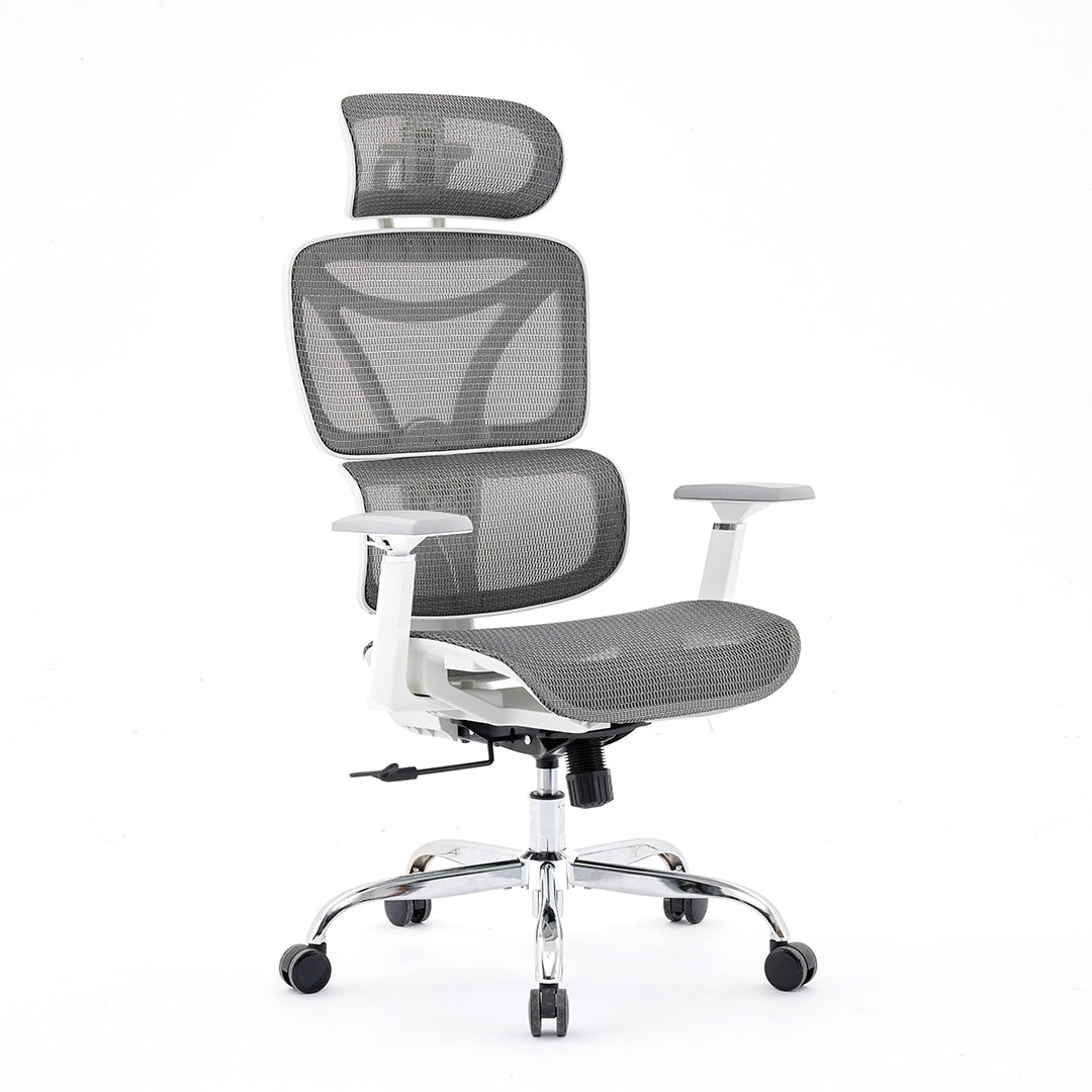 Mesh Fabric Home And Office Chair - Elite