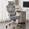 Mesh Fabric Home And Office Chair - Elite