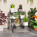Metal 3 Tier Plant Stand 60cm Wide - Velmora