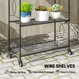 Metal 4 Tier Plant Stand 67cm Wide With- Velmora