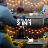 Metal 50,000 BTU Gas Fire Pit Table With Cover and Glass Screen - Velmora