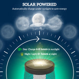 Metal 71.5 cm Tall Garden Solar Garden Lamp With Auto On-Off - Velmora