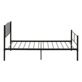 Metal Single Bed - Newton