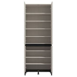 Mirrored Shoe Storage Cabinet Tall With 4 Doors - Toshiba
