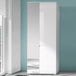 Mirrored Wardrobe Slim With 2 Doors - Salina