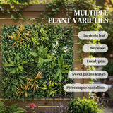 PE Artificial Grass Wall Panel 100cm Wide - Velmora