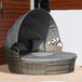 Poly Rattan Wicker Garden Sofa Set Round Daybed With Retractable Canopy - Velmora
