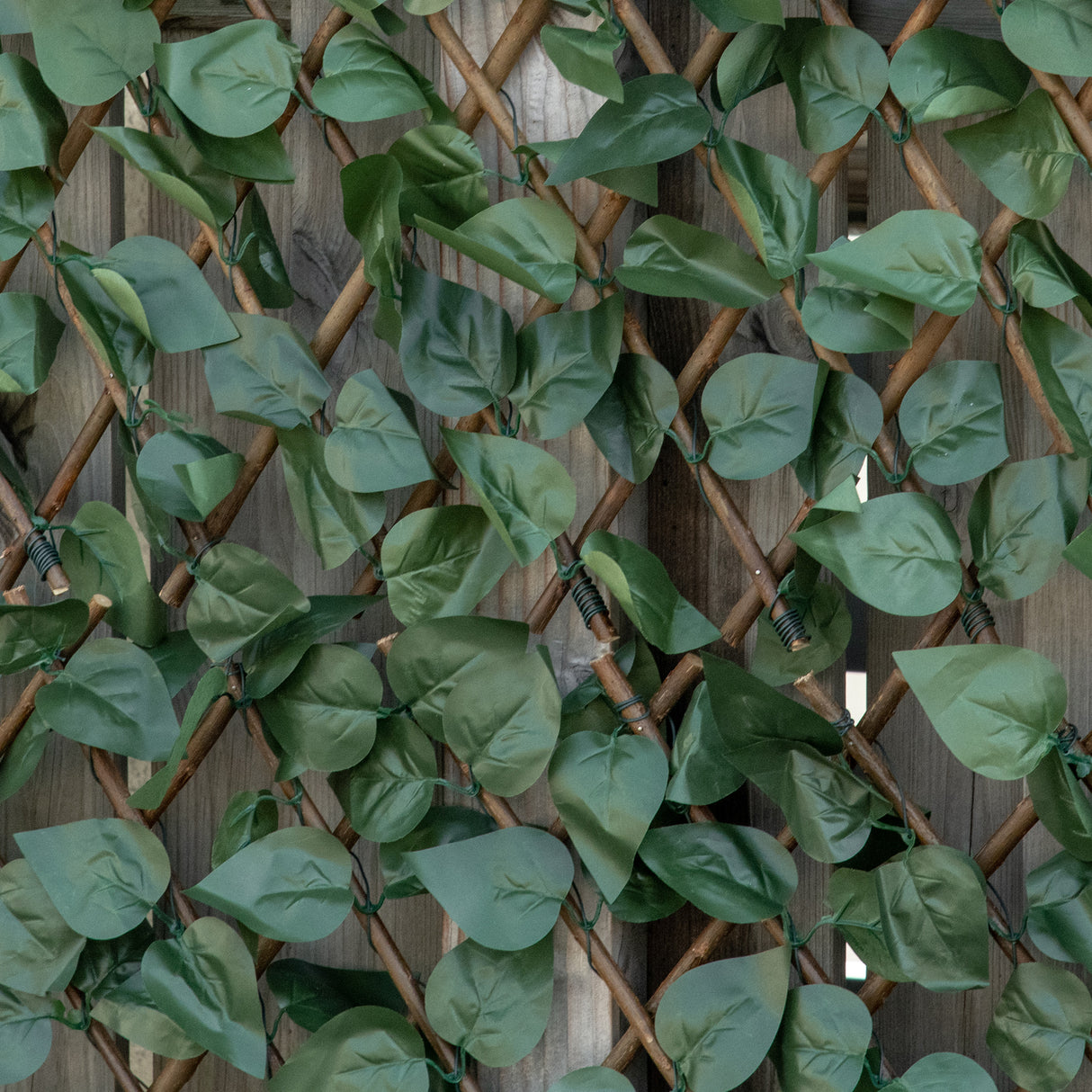 Polyester Expanding Garden Trellis Fence 200cm Wide in Set Of 4 - Velmora