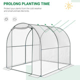 Polyethylene Garden Greenhouse 250cm Length - Velmora