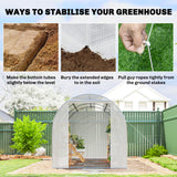 Polyethylene Garden Greenhouse 350cm Length - Velmora