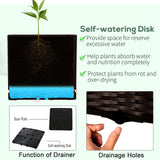Polypropylene Outdoor Garden Planter Box 40cm Wide in Set Of 2 - Velmora