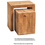 Solid Mango Wood Nest Of 2 Tables Cubed - Toko
