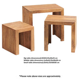 Solid Mango Wood Nest Of 3 Tables - Toko