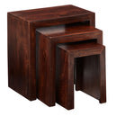 Solid Mango Wood Nest Of 3 Tables - Toko