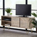 Solid Mango Wood TV Stand With 2 Doors And 2 Shelves - Light Gold