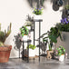 Steel 4 Tier Plant Stand 25cm Wide - Velmora
